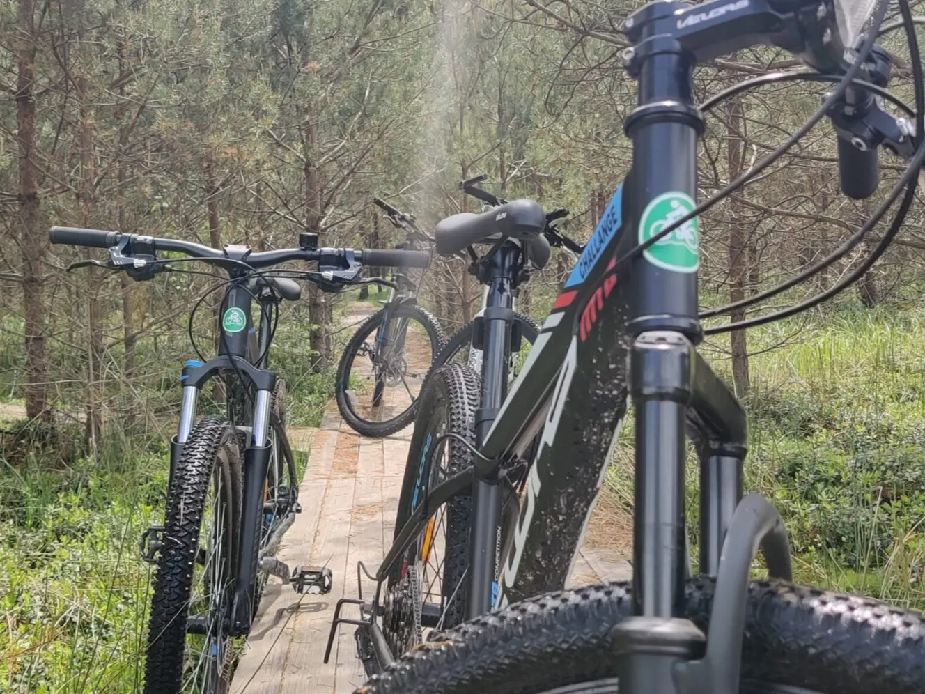Cicloturism si inchirieri biciclete