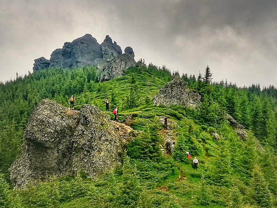 Nature observation ghid turism