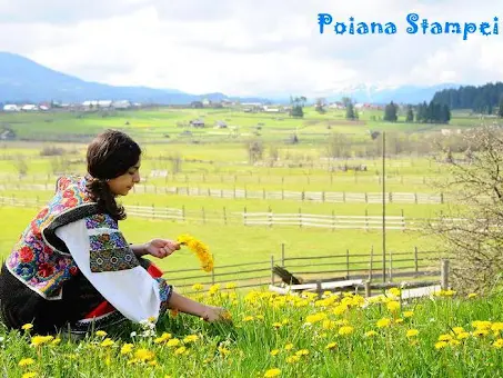 Festivalul ,,Flori de pe Dorna" 2022
