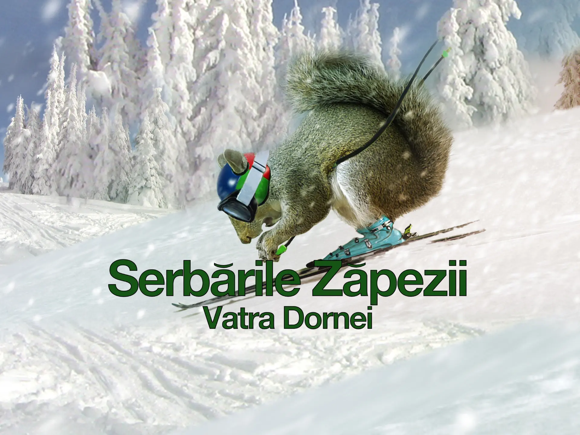 SERBARILE ZAPEZII VATRA DORNEI 2022