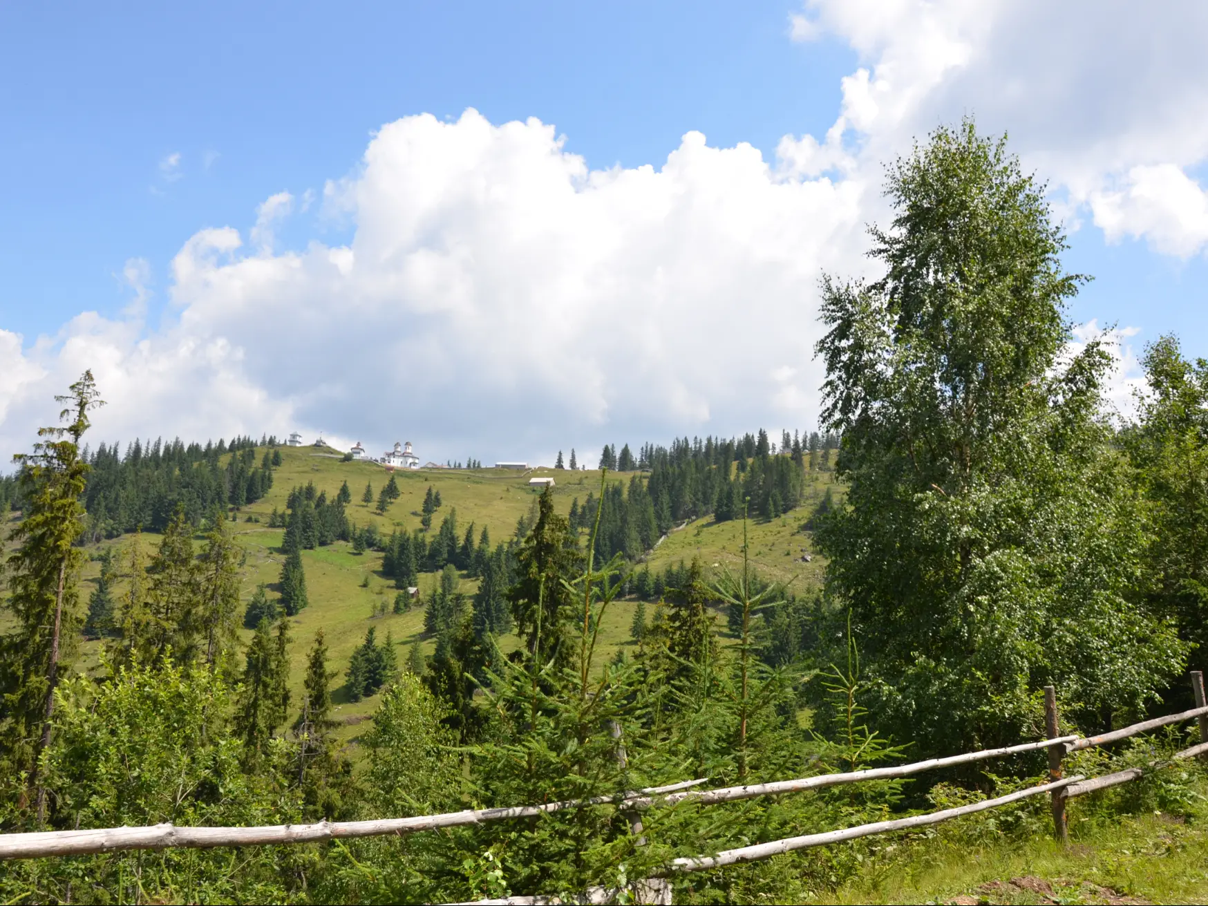 Panaci - Centru
