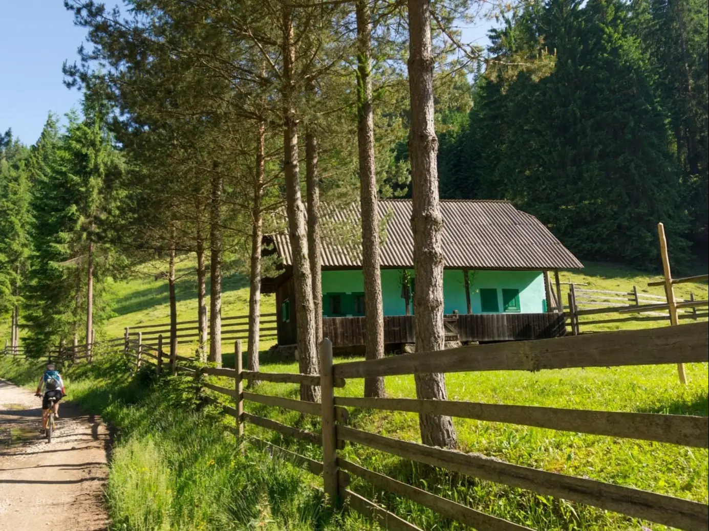 Podu Cosnei