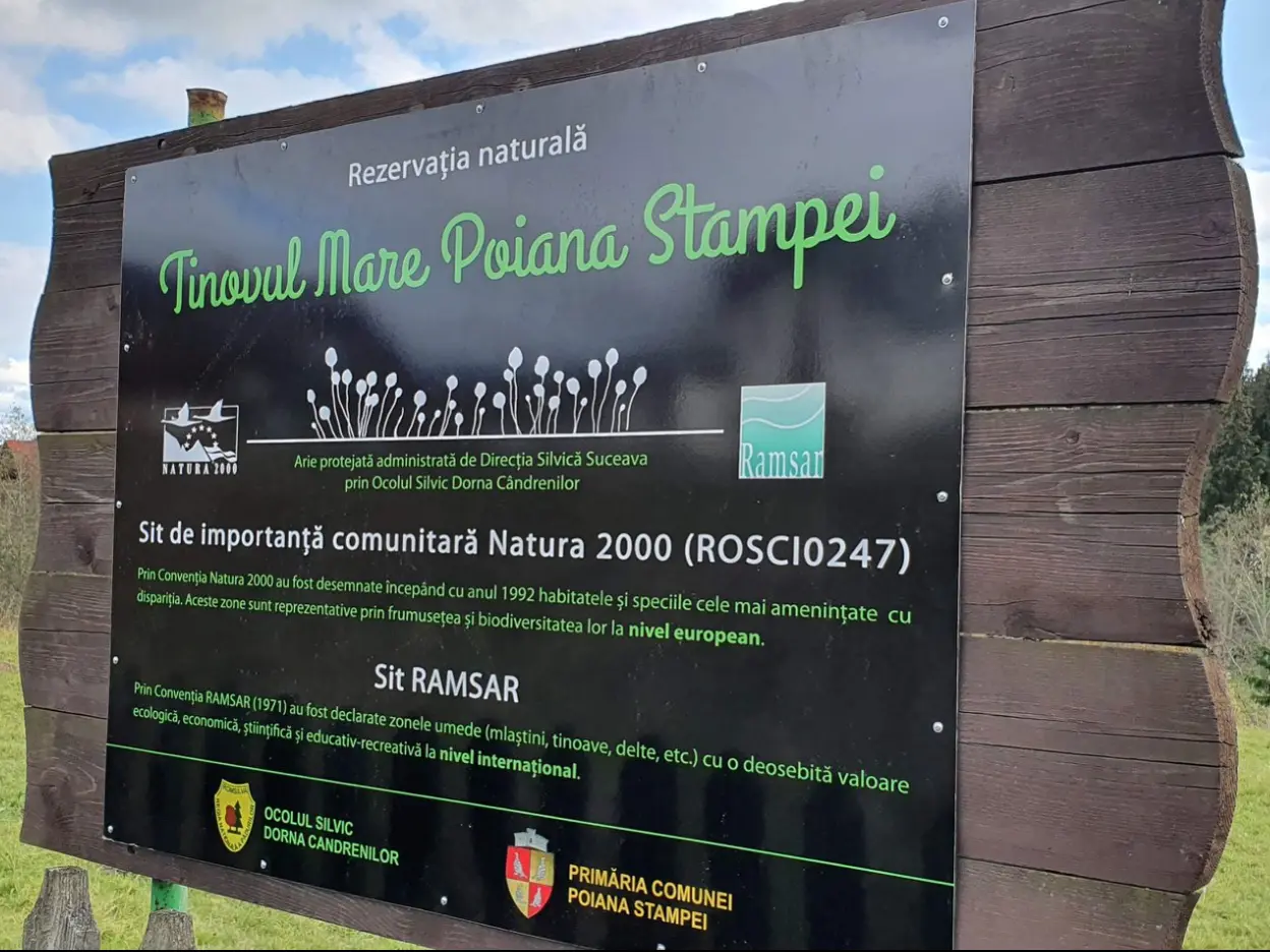 Poiana Stampei - Tinov 