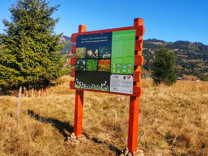 Tinovul Mic Sarul Dornei