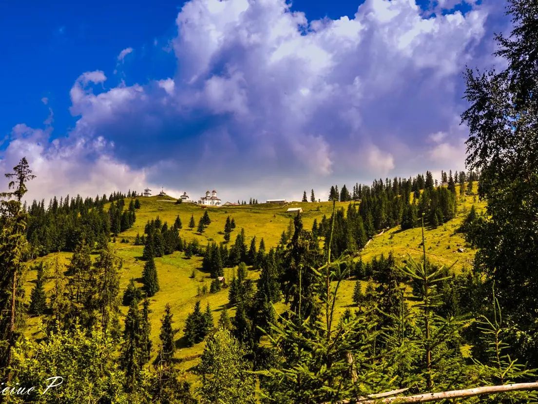 C 3 Circuit Panaci Piatra Taieturi