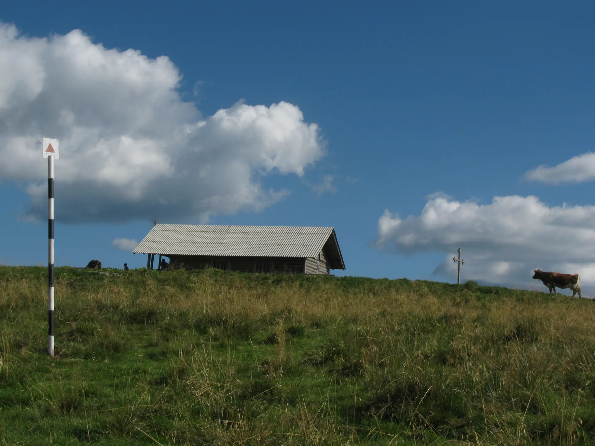 Sat Rusca - Piciorul Ruscai - Cabana Giumalau